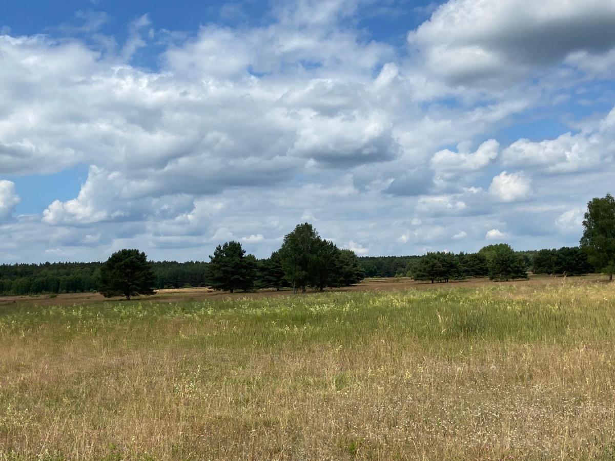 Waldwerk Wurlgrund Lychen Aparthotel Eksteriør bilde